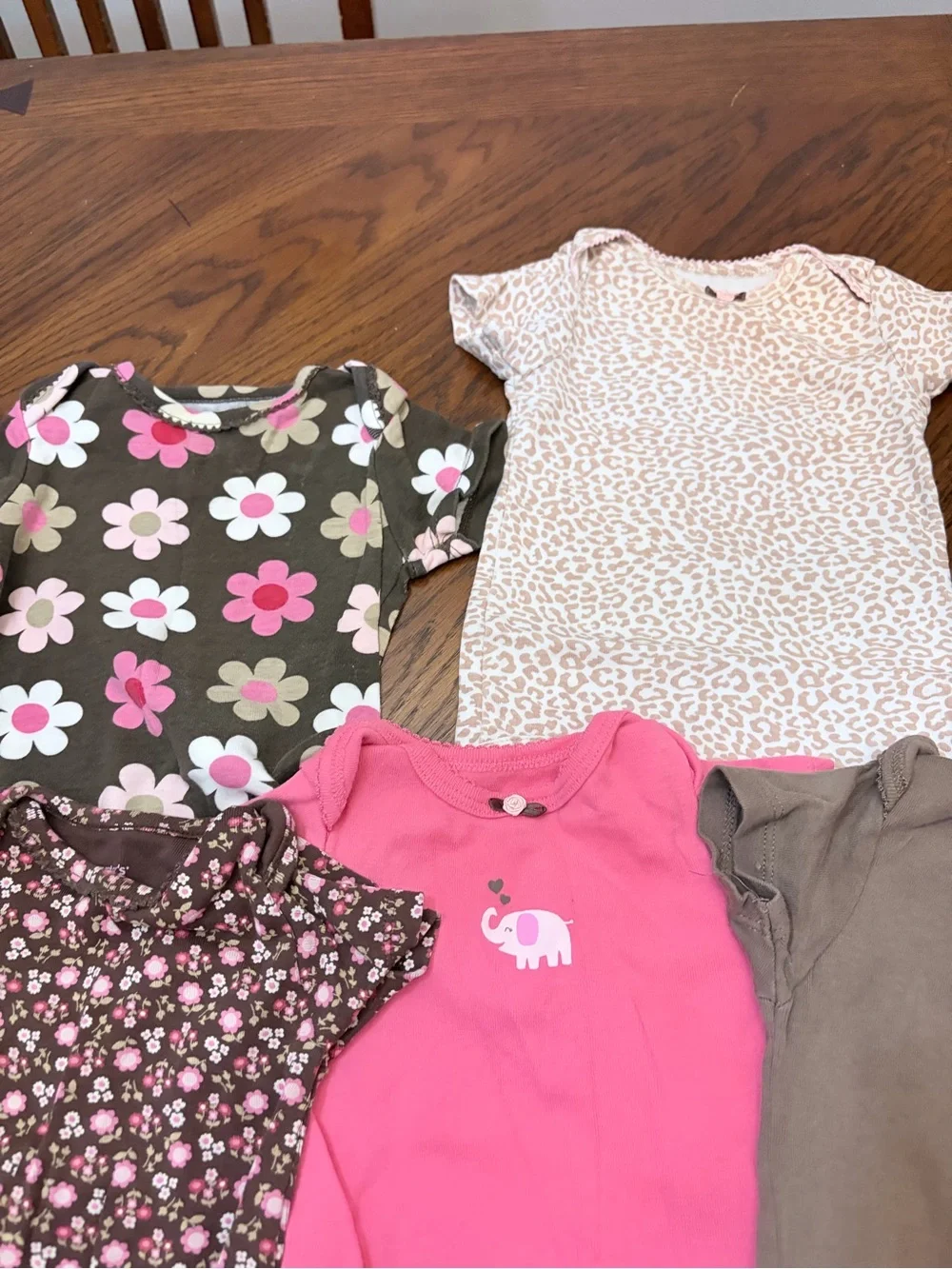 Carter's Girls' One-Piece Bodysuits - Pink, Brown, Green & Floral